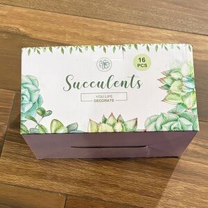 ANORAK Succulent Collection - Green and Pink